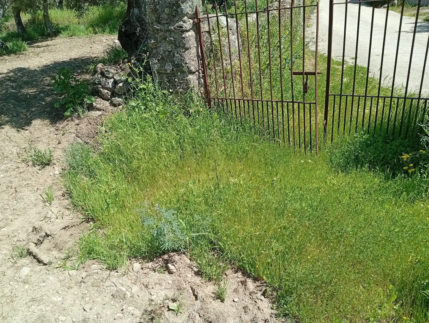 Terreni e lotti in vendita a Villanueva de la Vera, imagen 69