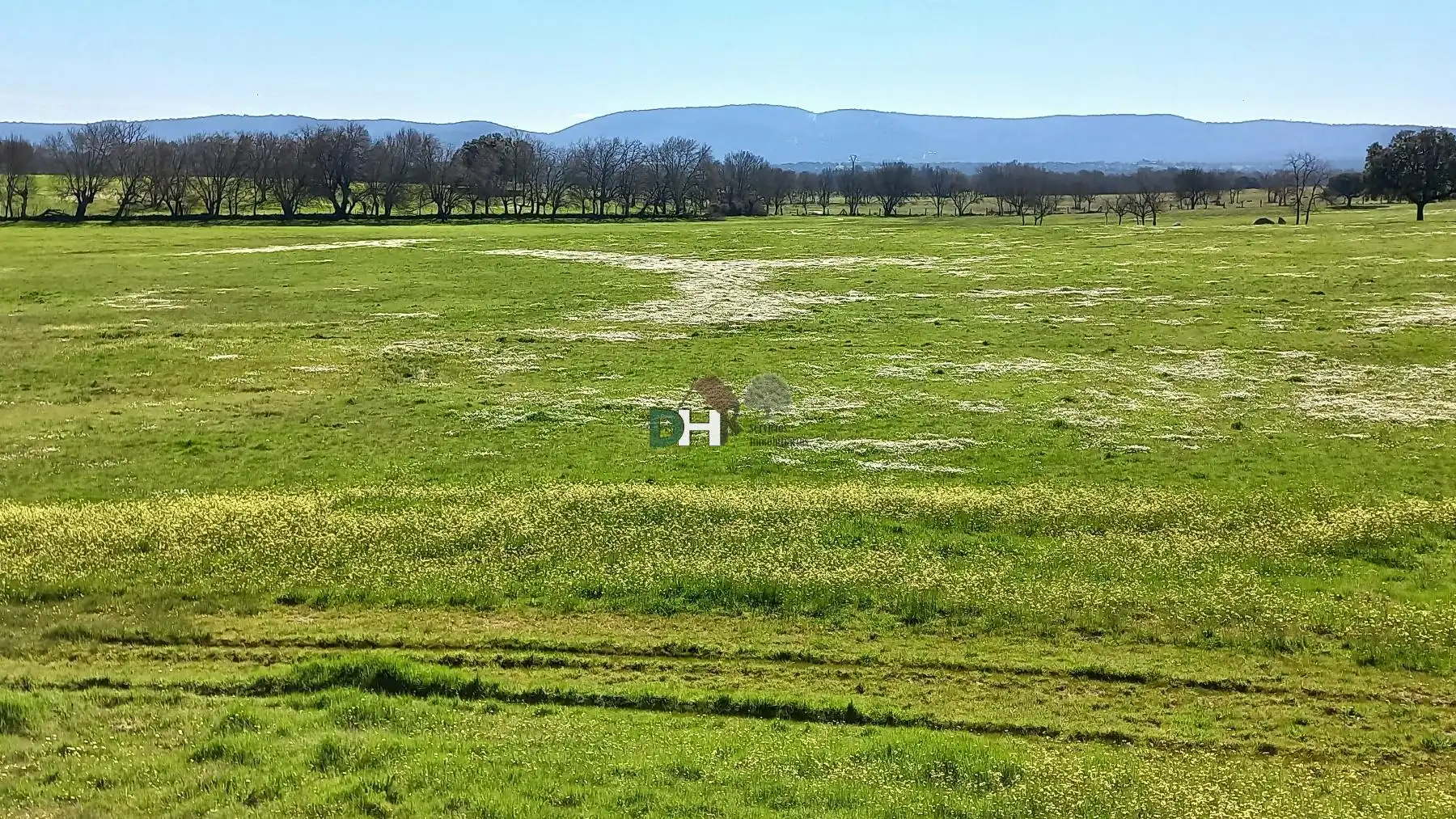 Terreni e lotti in vendita a Sónsoles