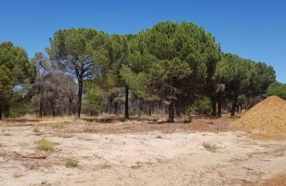 Terreny residencial en venda a Nava del Rey, imagen 2