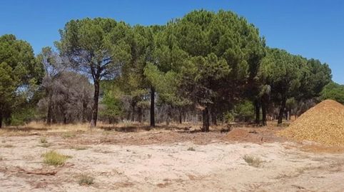 SE VENDE SOLAR URBANO EN TORDESILLAS (VALLADOLID), immagine 2