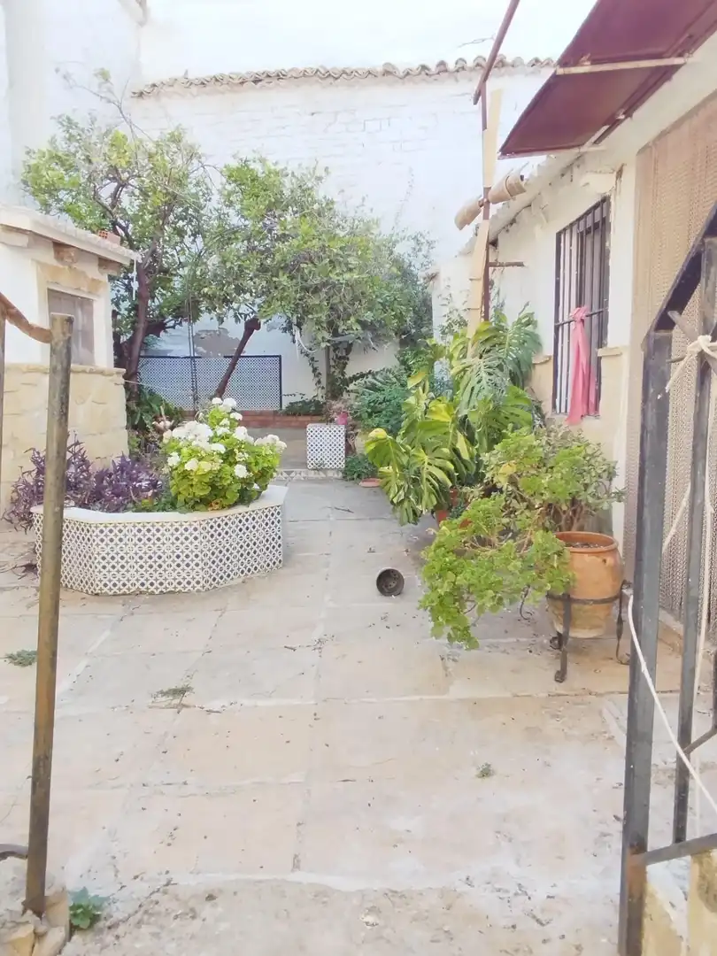 Jardí de Casa o xalet en venda en Porcuna amb Calefacció, Jardí privat i Terrassa