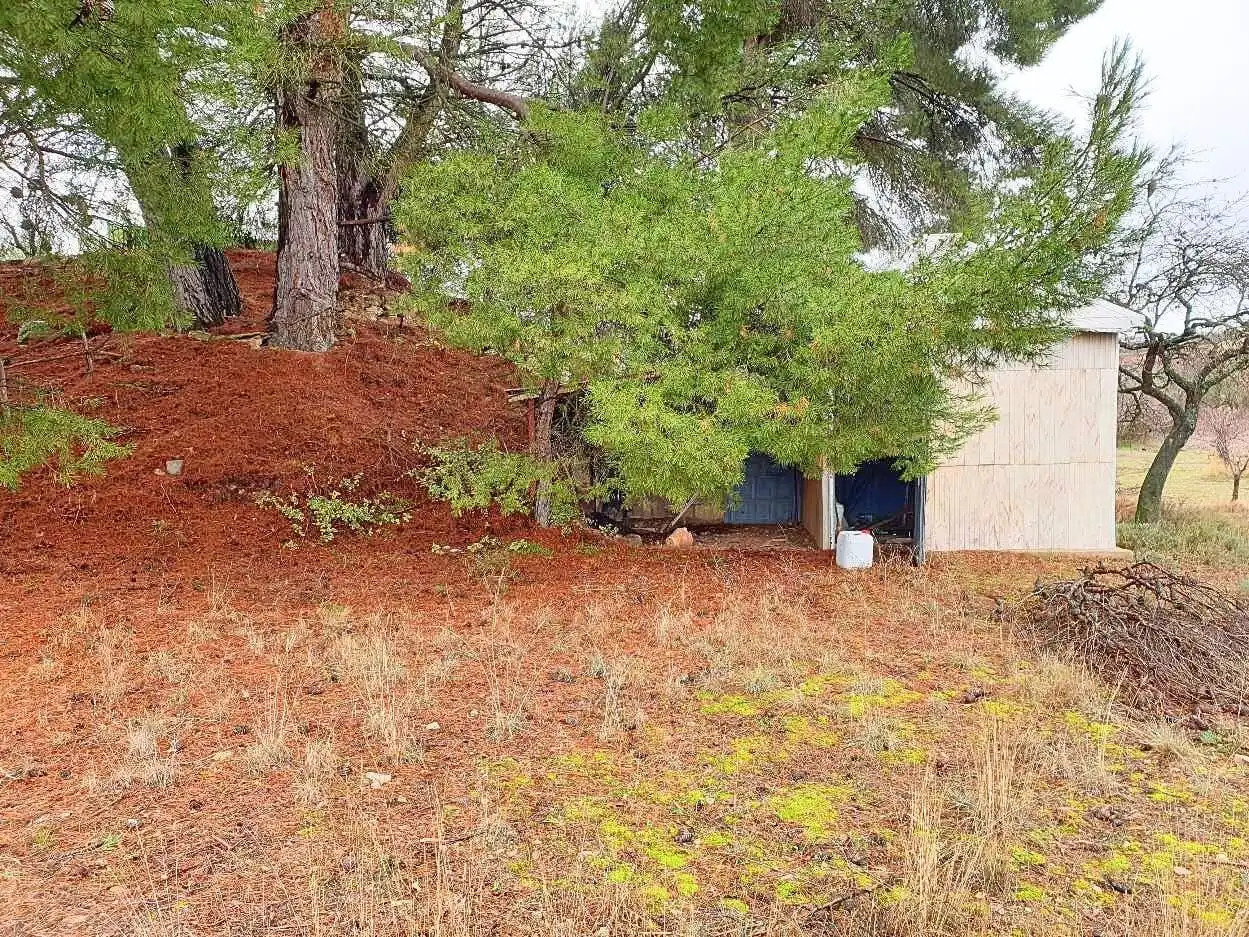 Terreno en venta en Maluenda