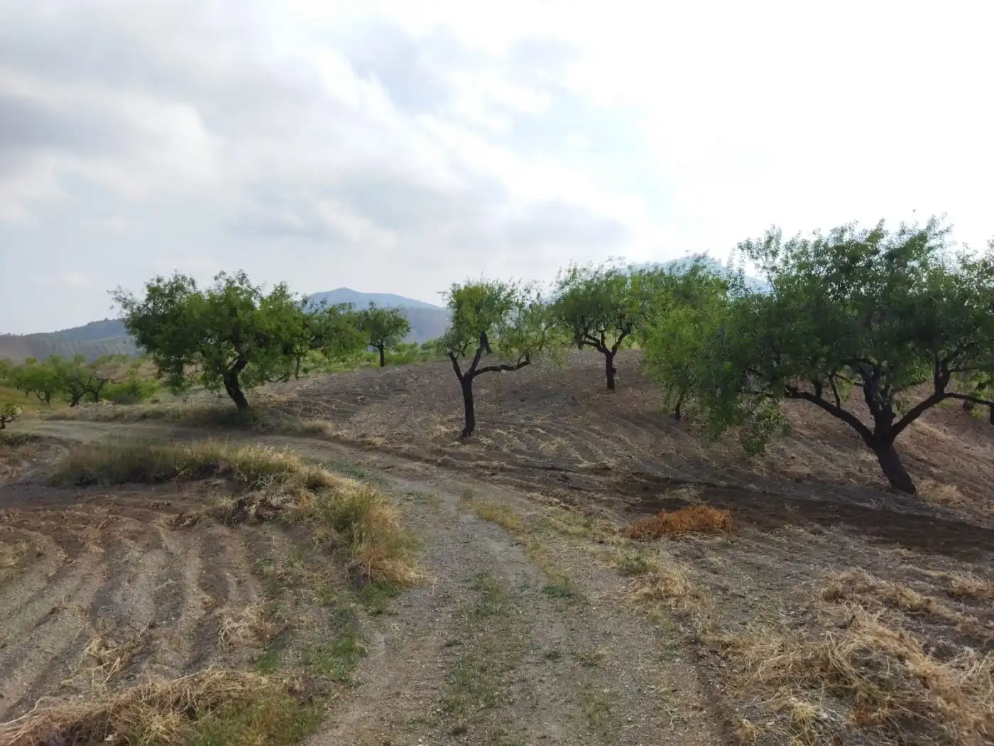 Casa rústica amb jardí en venda a Puerto Lumbreras, imagen 9