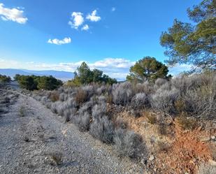 Residencial en venda en Lorca