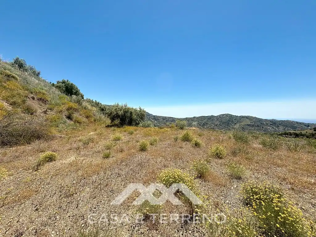 Land for sale in Canillas de Albaida