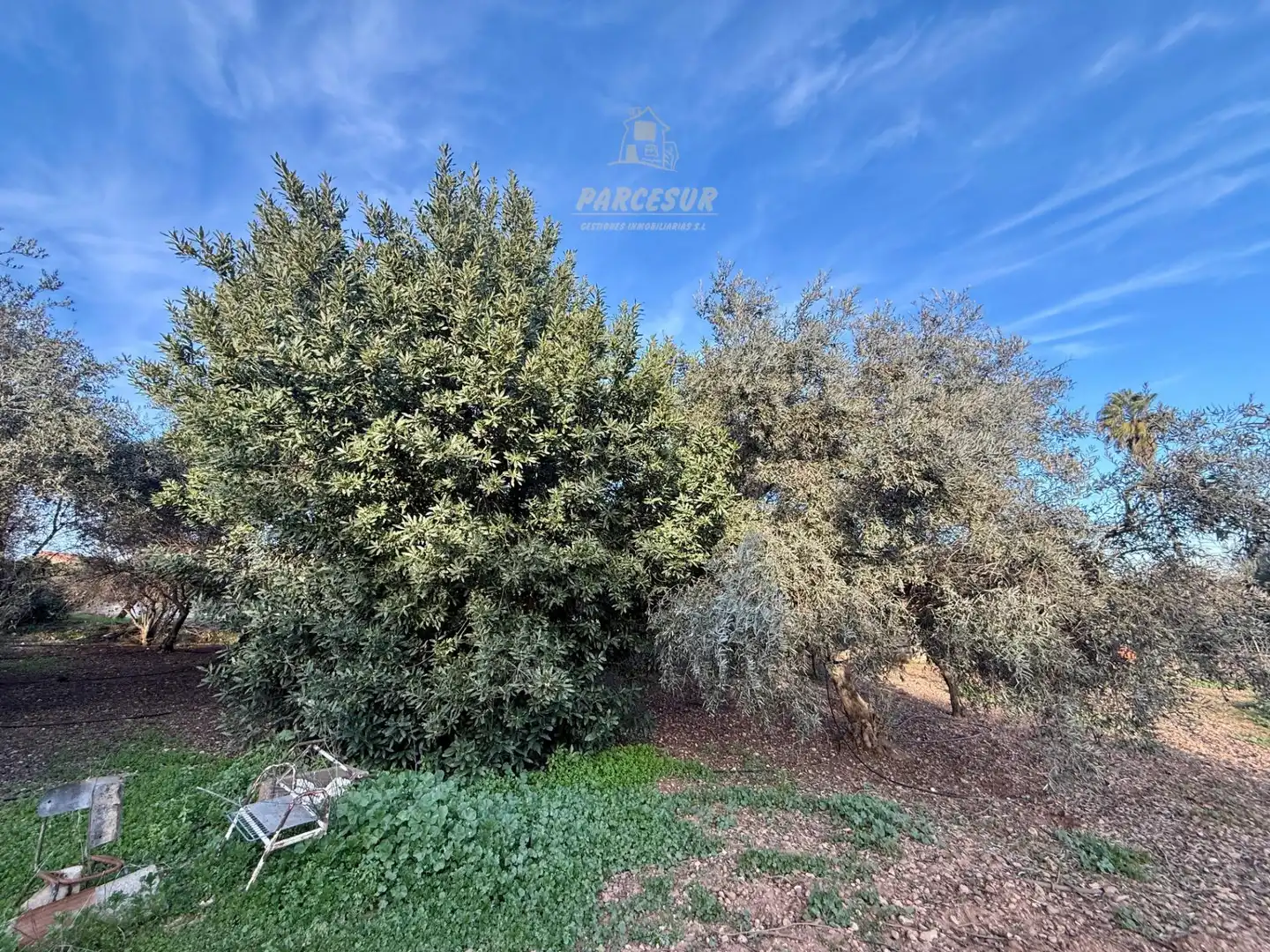 Casa con piscina en venta en Periurbano Este - Campiña, imagen 3