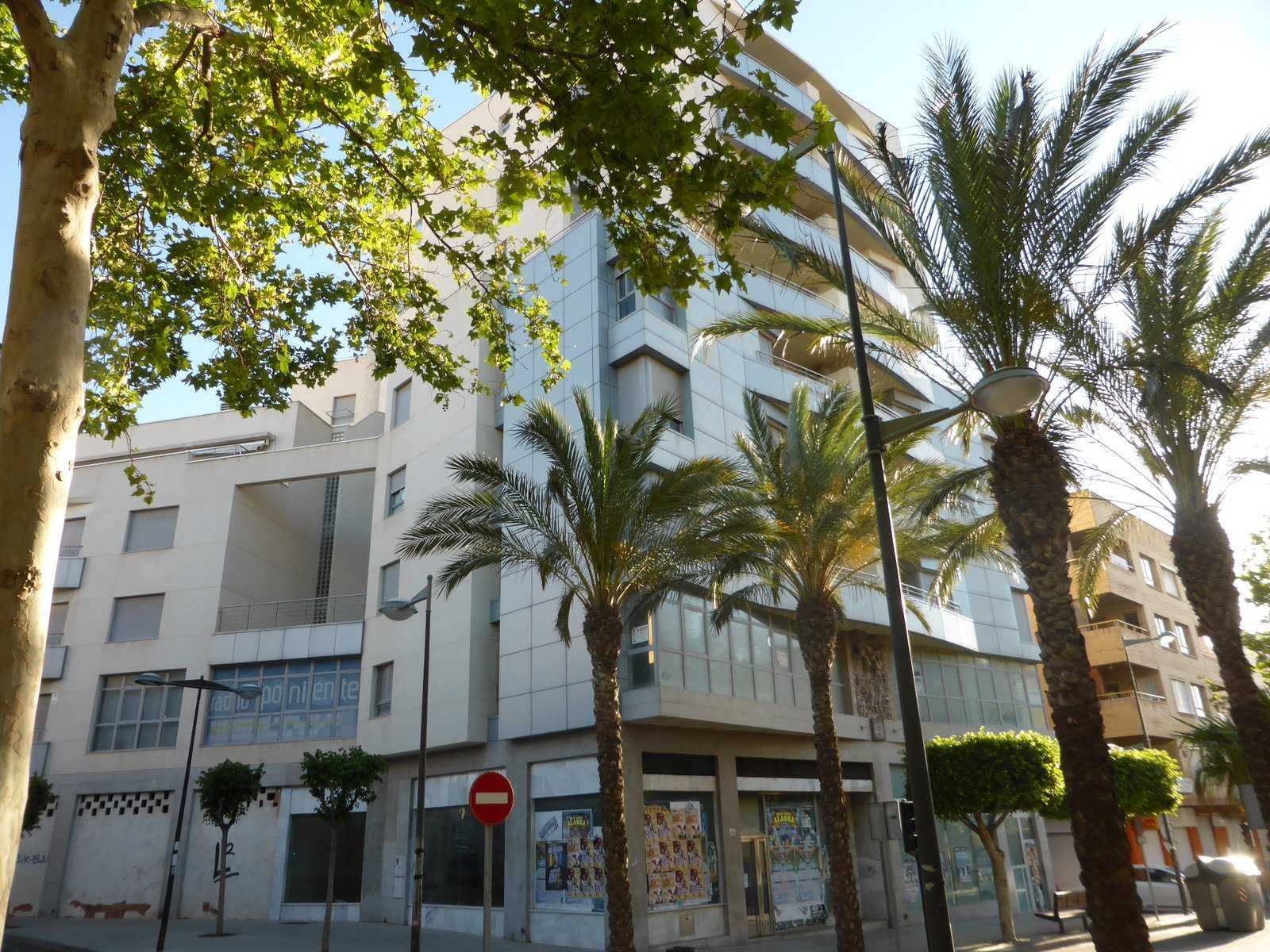 Exterior view of Flat for sale in El Ejido