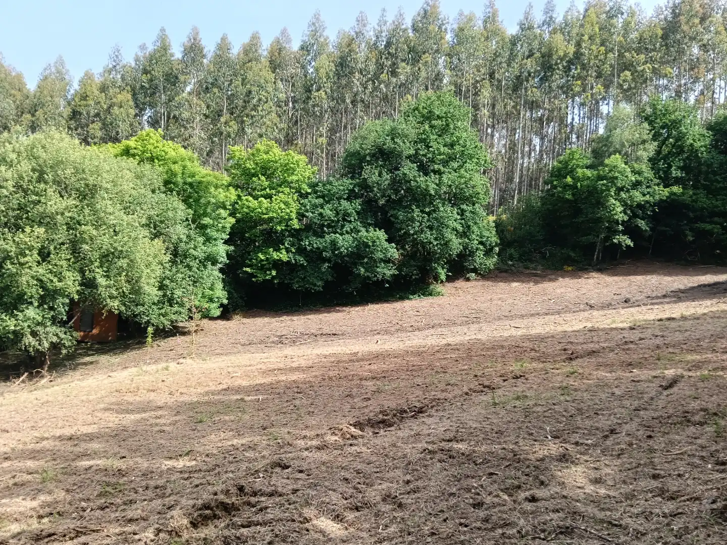 Maison avec jardin à vendre à Cesuras, imagen 12