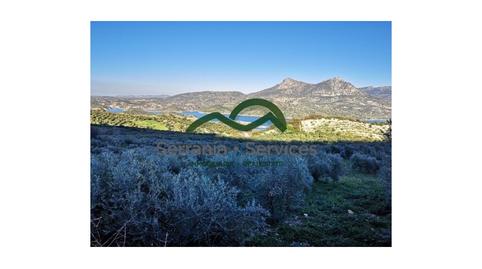 Foto 2 de Finca rústica en venta en N/a, Zahara, Cádiz