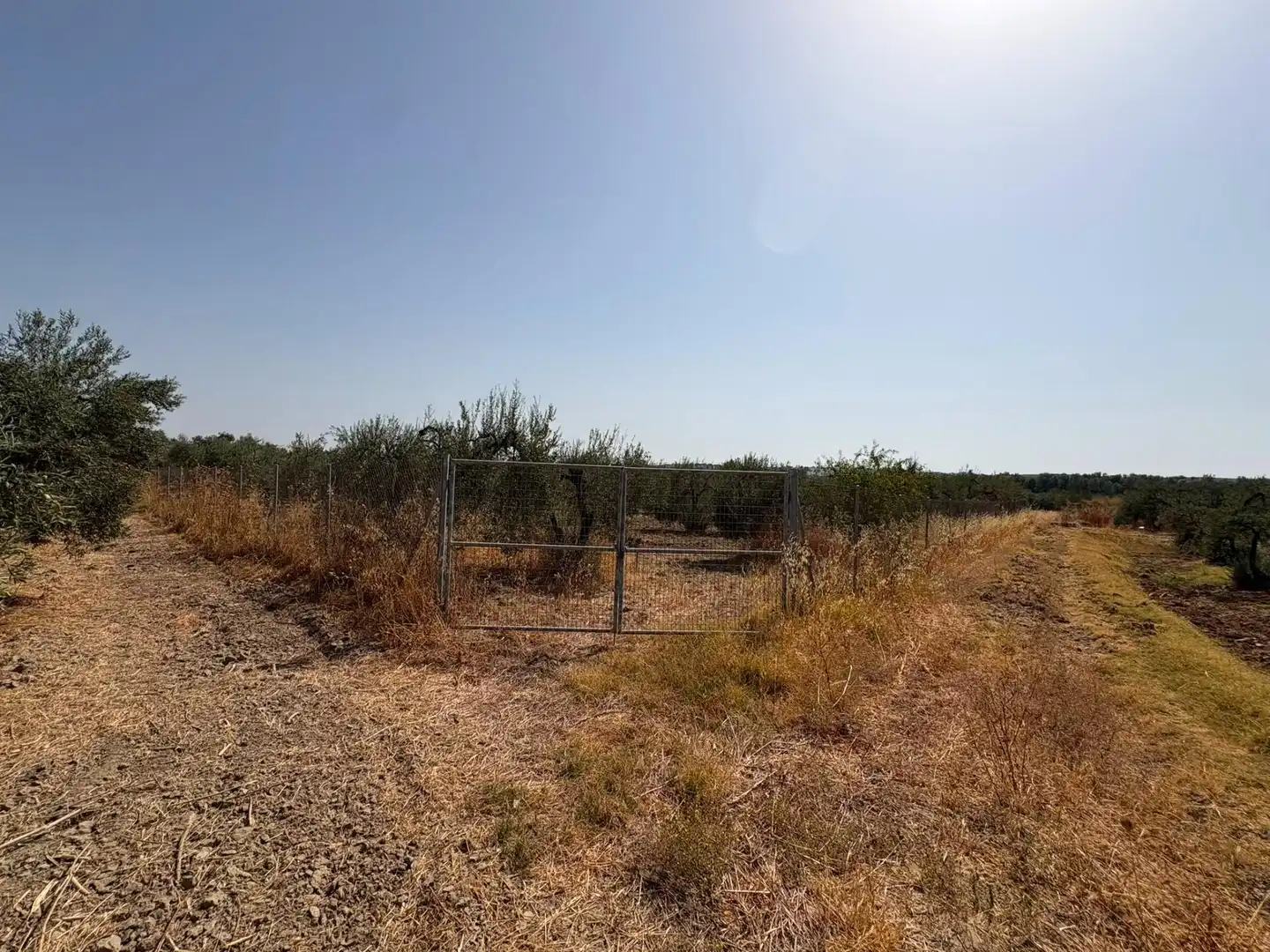 Terreno en venta en Espartinas