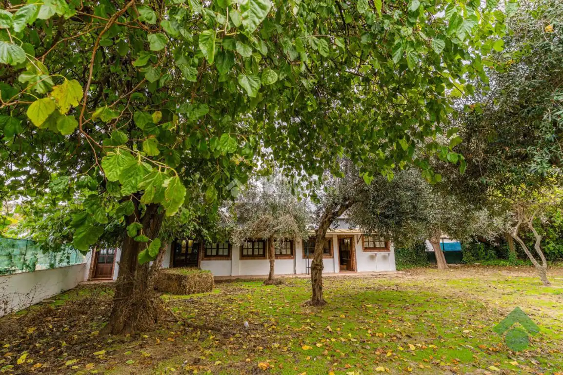 Business premises for sale in El Rocío - La Milagrosa, imagen 2