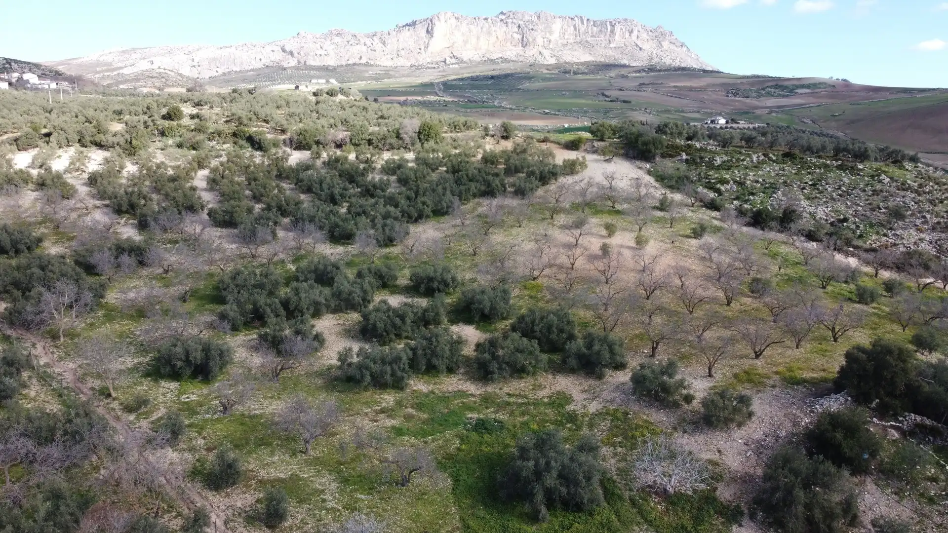 Casa o chalet en venta en Antequera con Calefacción y Terraza