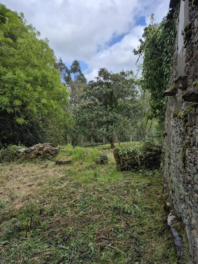 Finca rústica en venta en As Somozas  con Jardín privado