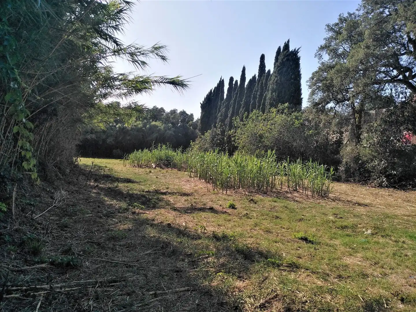 Terreno residencial en venta en Via del Carrilet, imagen 2
