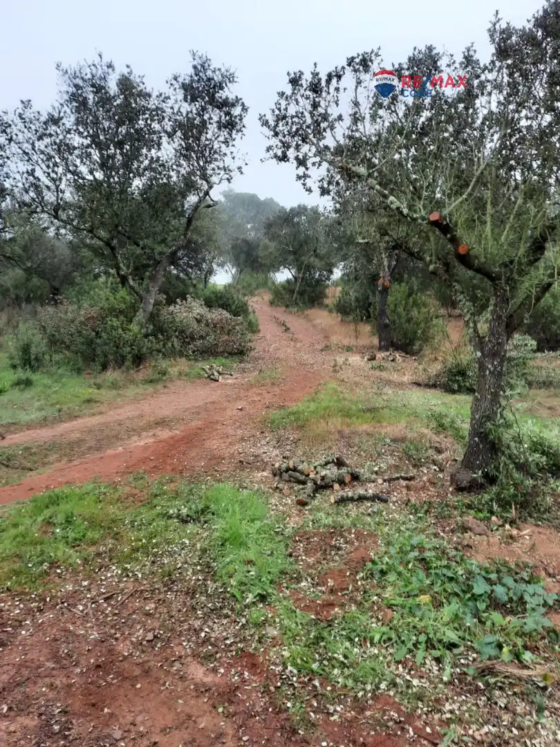 Terreni e lotti in vendita a Alburquerque, imagen 22