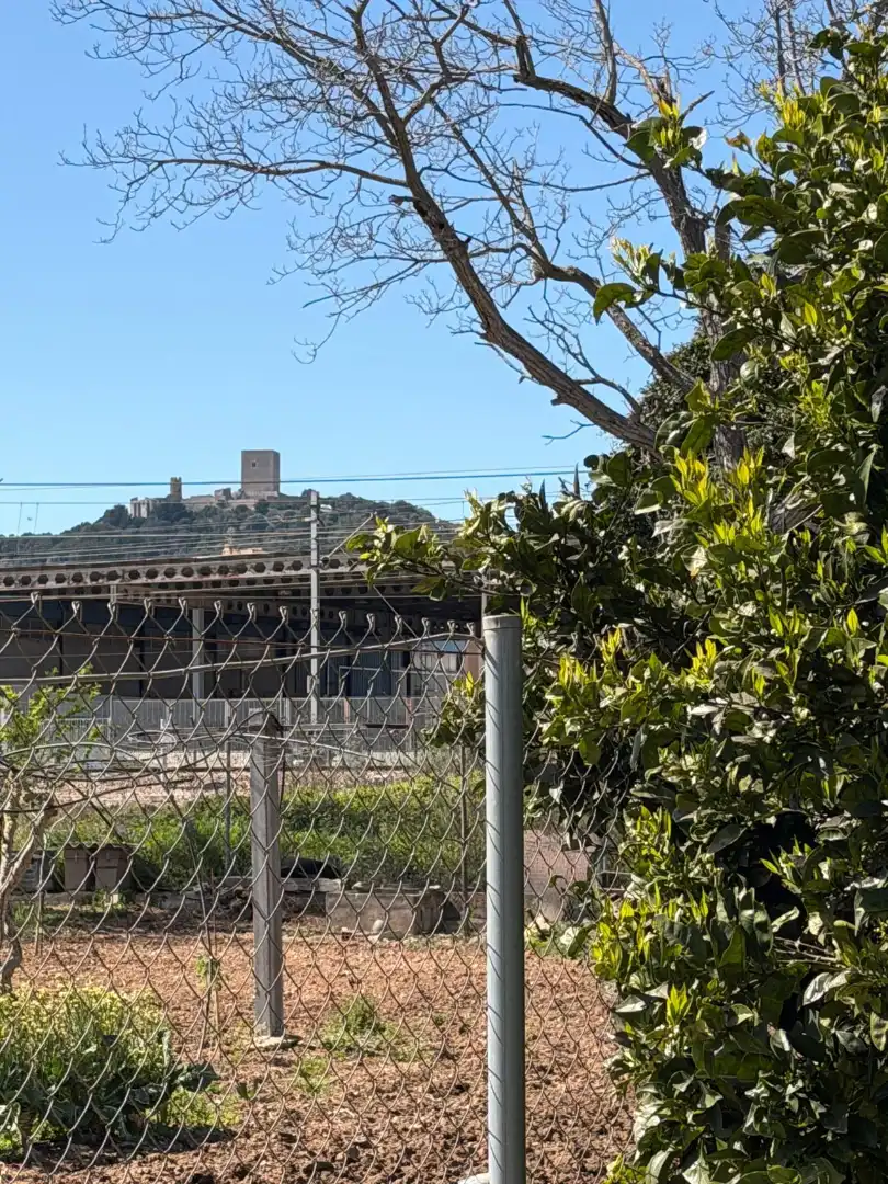 Vista exterior de Casa o xalet en venda en Ulldecona amb Jardí privat i Terrassa