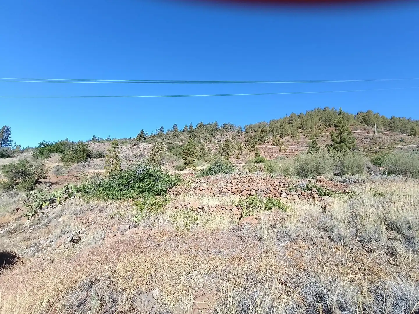 Terreno rústico en venta en M\A LIRIOS. VILAFLOR DE CHASNA [S.C. TENERIFE], imagen 26