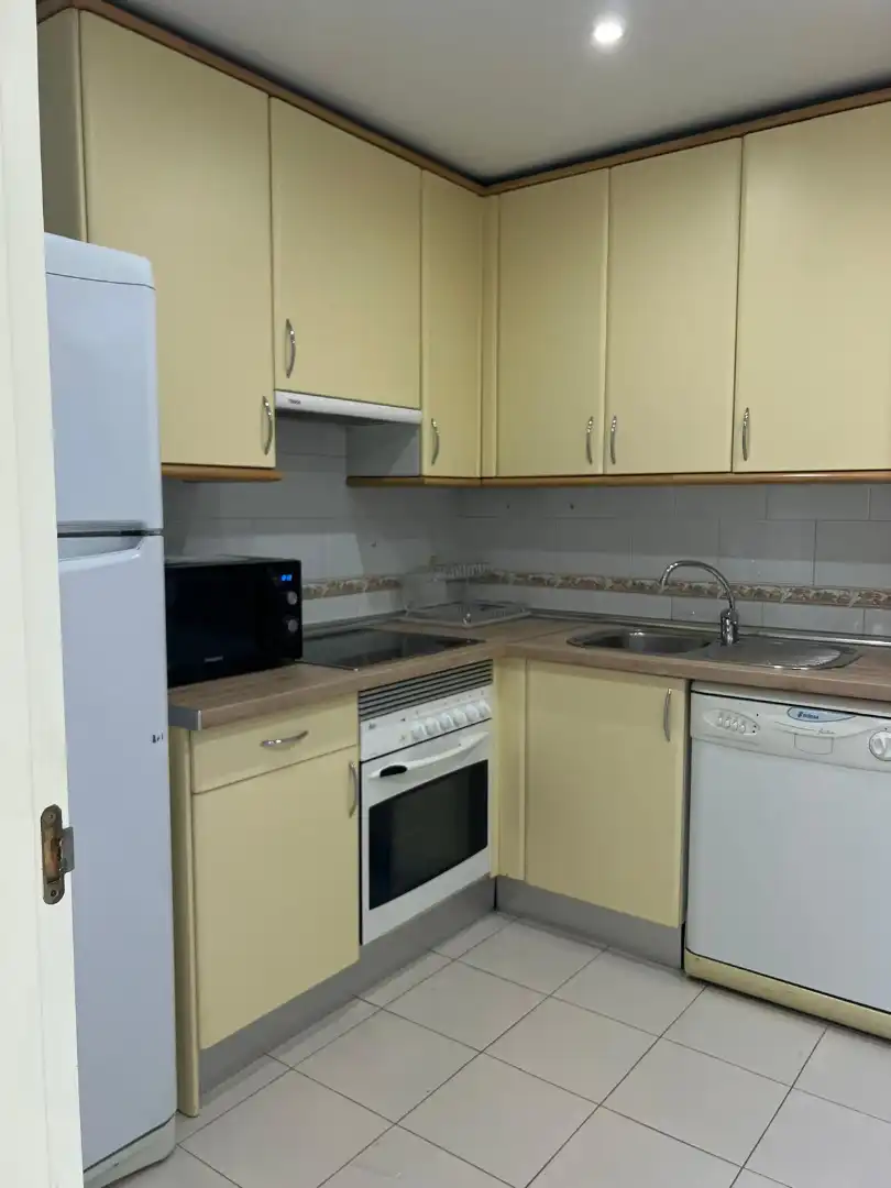Kitchen of Flat for rent in Madrid  with Air Conditioner, Heating and Parquet flooring