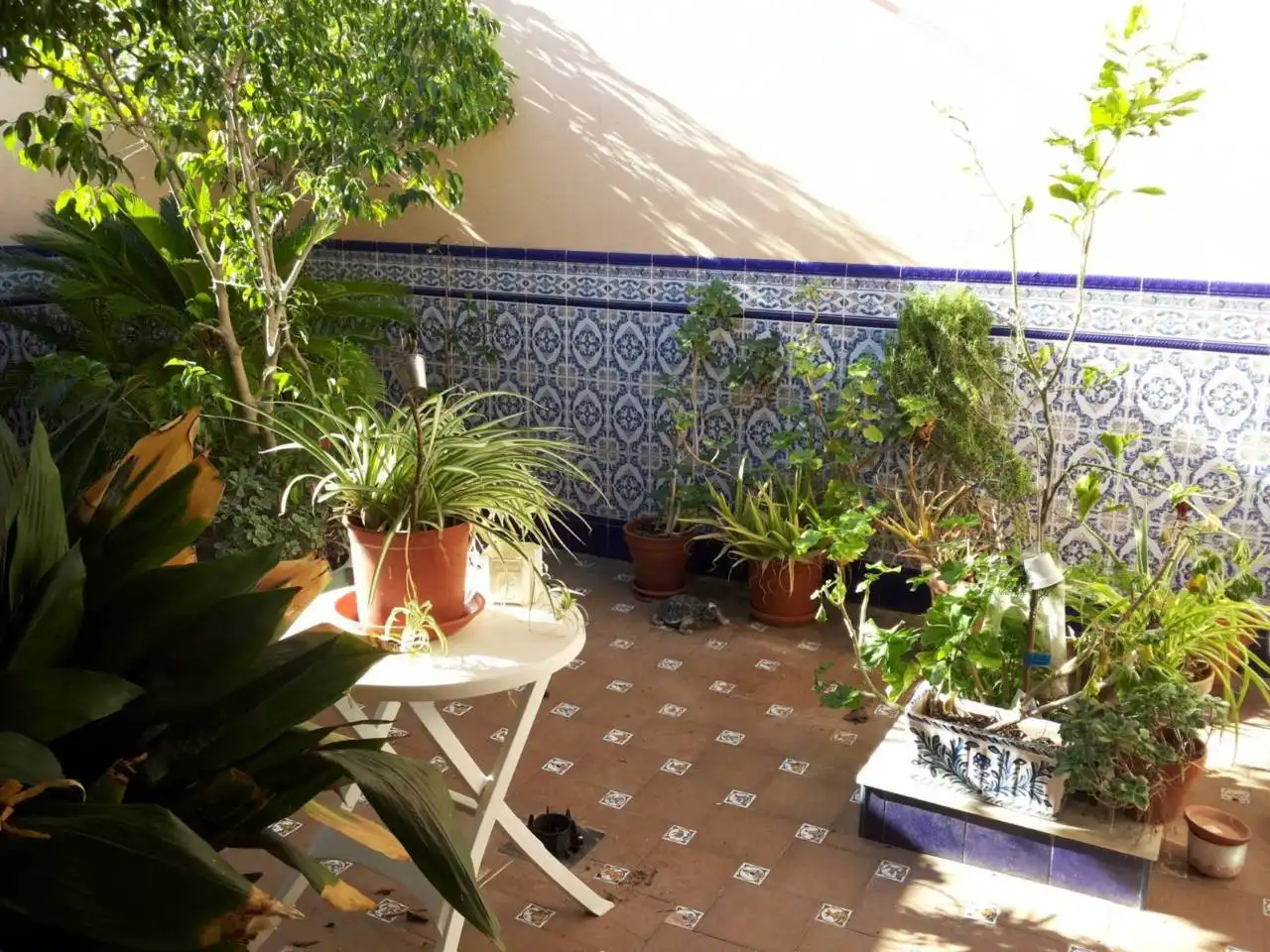 Terraza de Dúplex en venta en El Ejido con Terraza y Amueblado