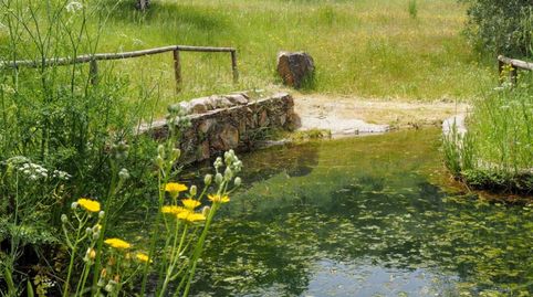 Foto 5 de Casa o chalet en venta en Madroñera - las Animas, Madroñera, Cáceres