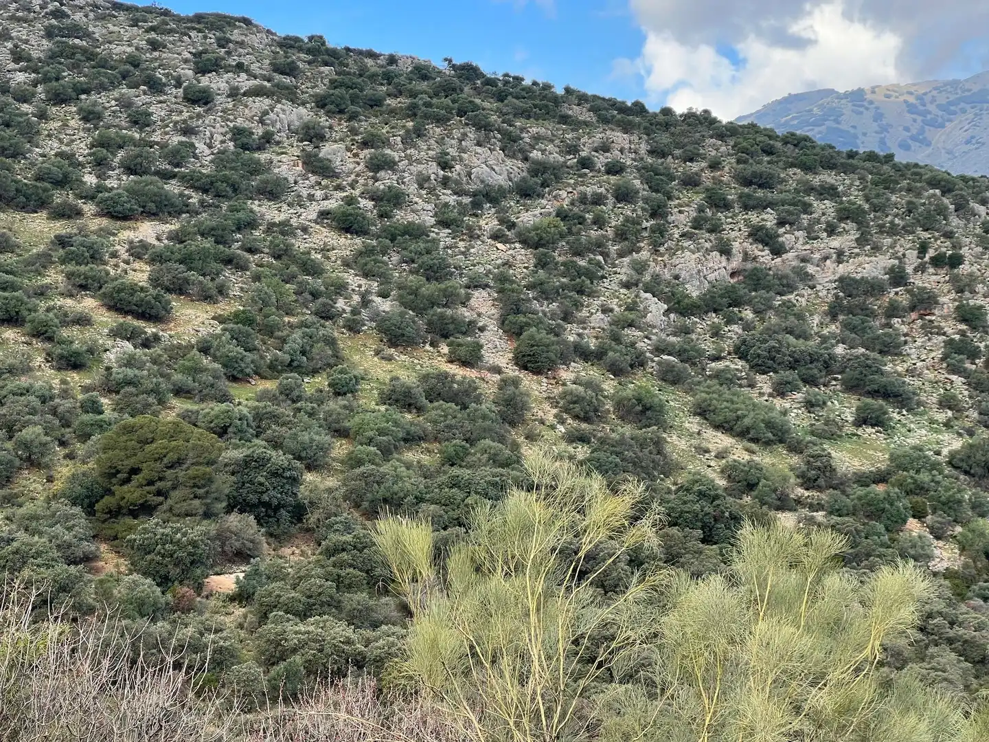 Terreno en venta en Jaén