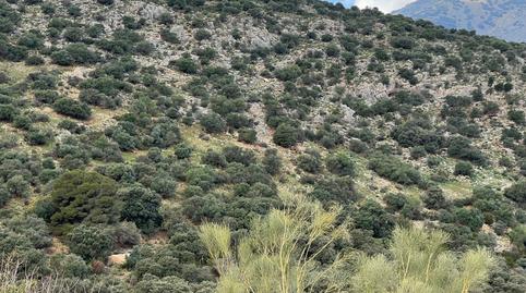 Photo 5 of Land for sale in Jabalcuz, Jaén