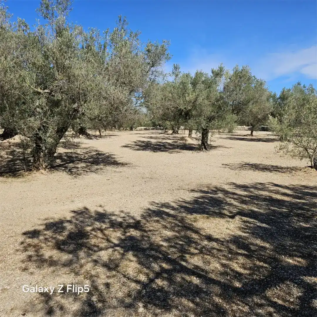 Grundstücke zum Verkauf in La Galera , Tarragona