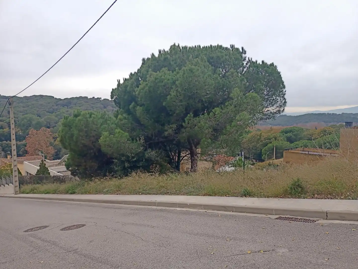 Terrenos y solares en venta en Carrer SALVIA, imagen 2