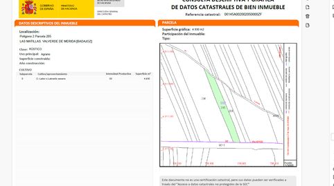 Foto 3 de Terreno en venta en Carretera Valverde de Mérida, Este, Mérida