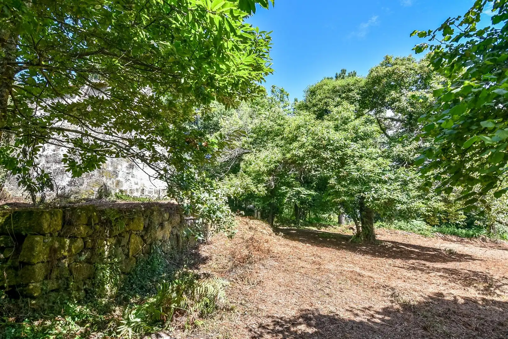 Terreni e lotti in vendita a CIDRAS-SAN XULIAN 15, imagen 12