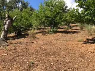 Terreni e lotti in vendita a Cortegana, imagen 14
