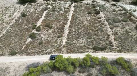 Parcela agraria de 3.476 mÂ en una excelente ubicaciÃn en La Marina, ElchePresentamos esta magnÃfica parcela agraria de 3.476 mÂ,