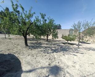 House or chalet for sale in Molina de Segura
