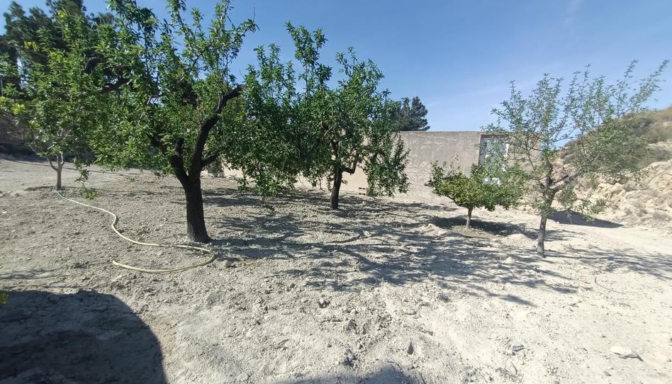 Foto 1 de Casa o xalet en venda a Centro, Murcia