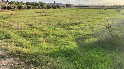 PARCELA PARA CONSTRUCIOON DE VIVIENDA EN AGUADERAS, immagine 2