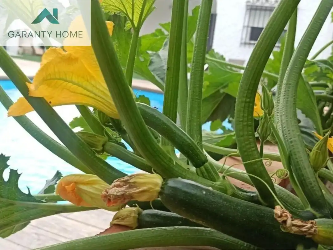 Chalet con terraza en venta en Solymar, imagen 30