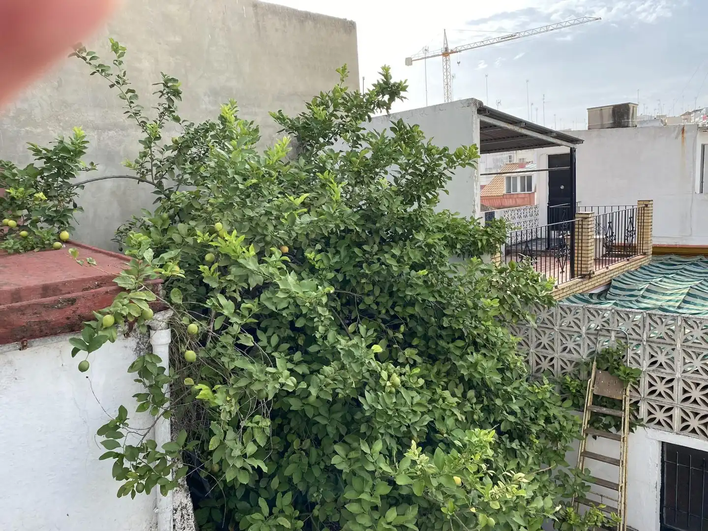Maison à vendre à Centro, imagen 4