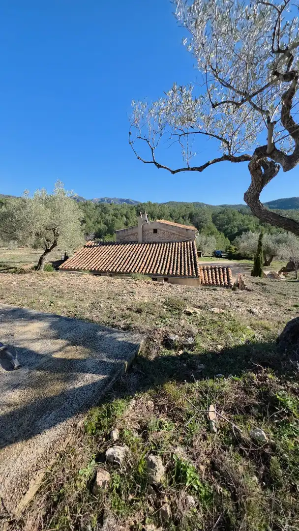 Casa rustica in vendita a Tivissa, imagen 42