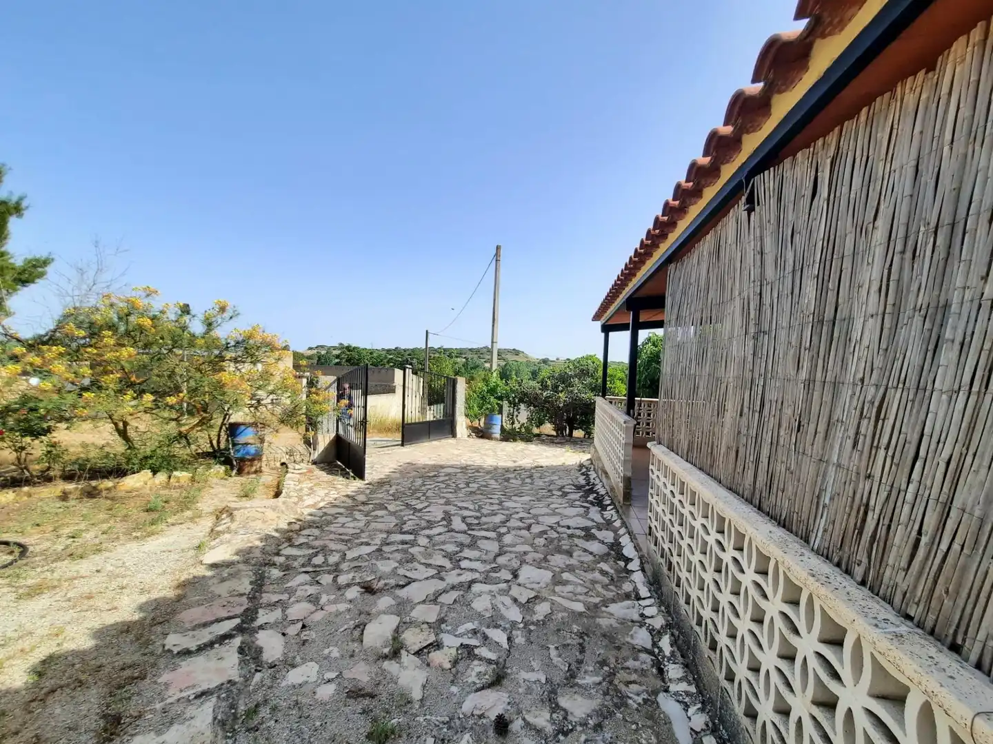 Vista exterior de Casa o chalet en venta en Alpera con Amueblado