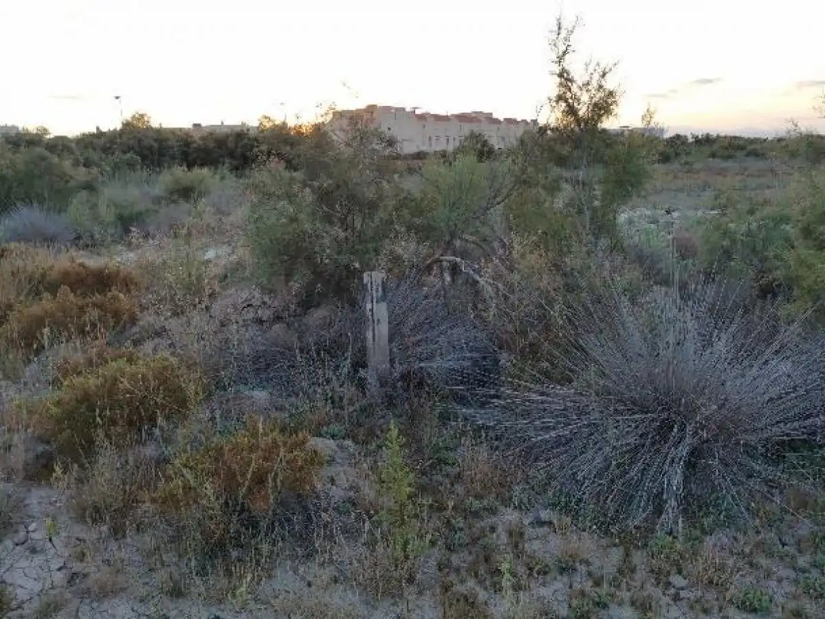 Terreno rustico in vendita a Camino LOS HUERTOS, imagen 55