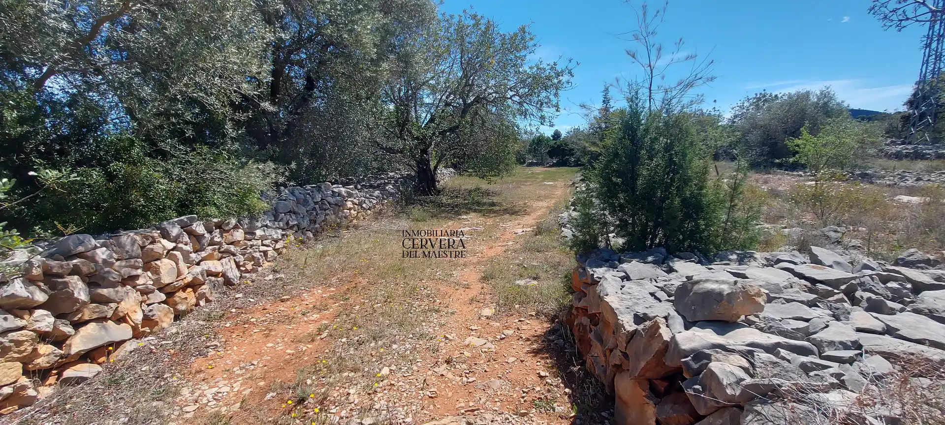 Terreno rustico in vendita a Cervera del Maestre, imagen 22