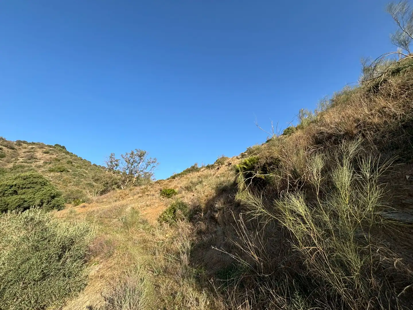 Terreno en venta en Cártama