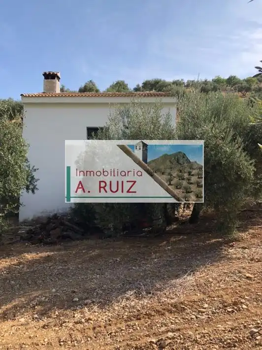 Terreny rústic en venda a Priego de Córdoba