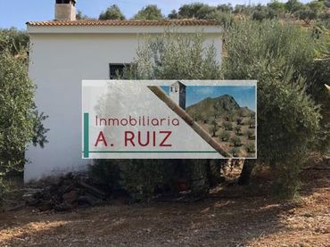 Terreno rustico in vendita a Priego de Córdoba