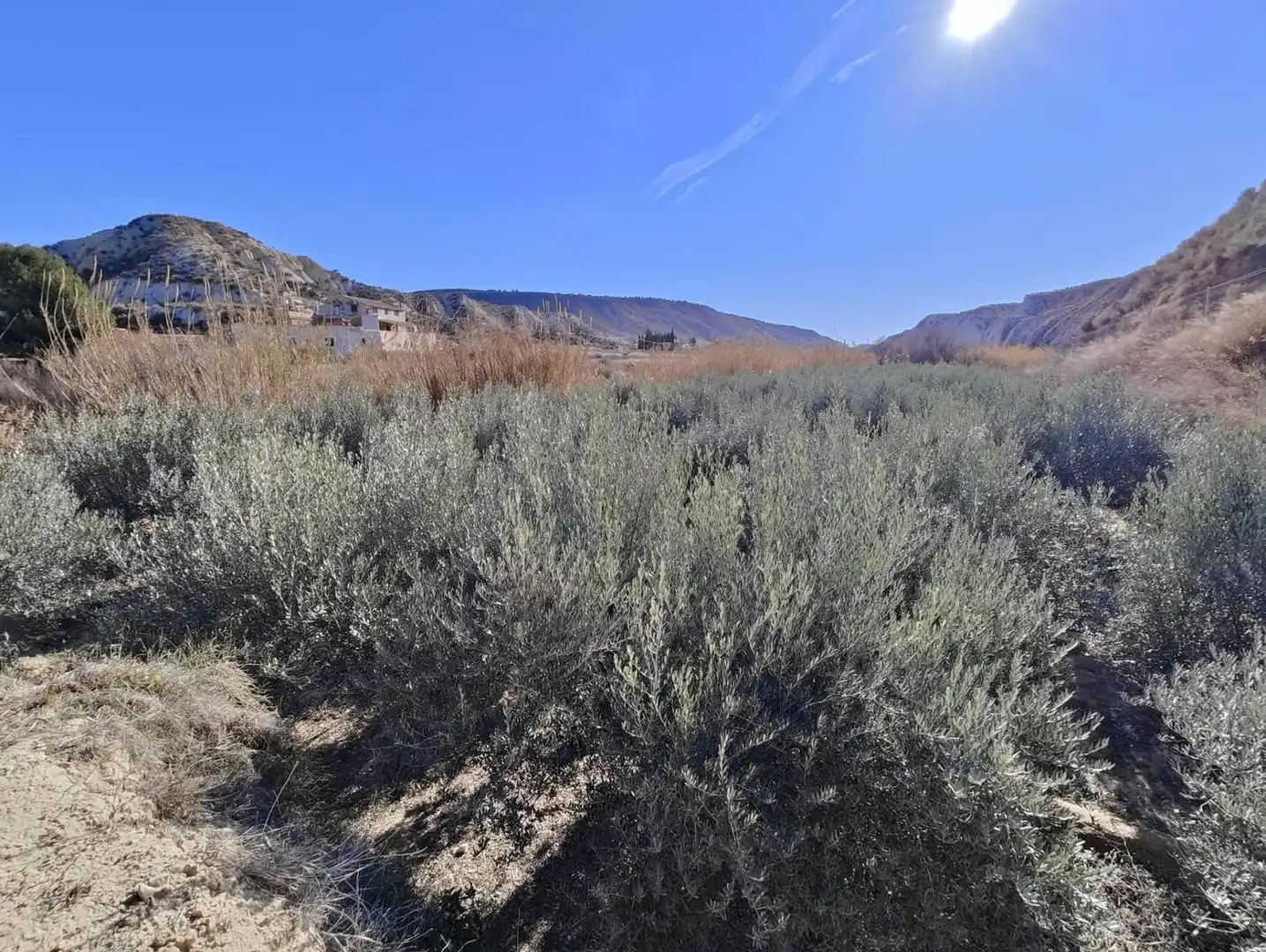 Lands and plots for sale in Mula