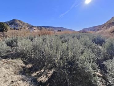Lands and plots for sale in Mula