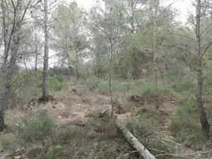 Terreno rustico in vendita a Carrer la Torreta, imagen 16