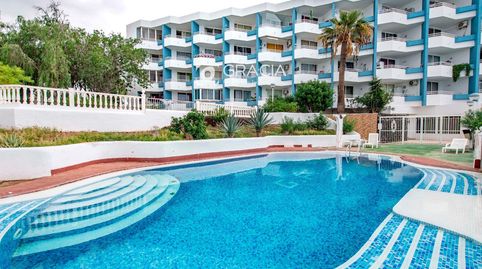 Foto 5 de Estudio en venta en Apartamentos Green Park, Golf del Sur - Amarilla Golf, San Miguel de Abona