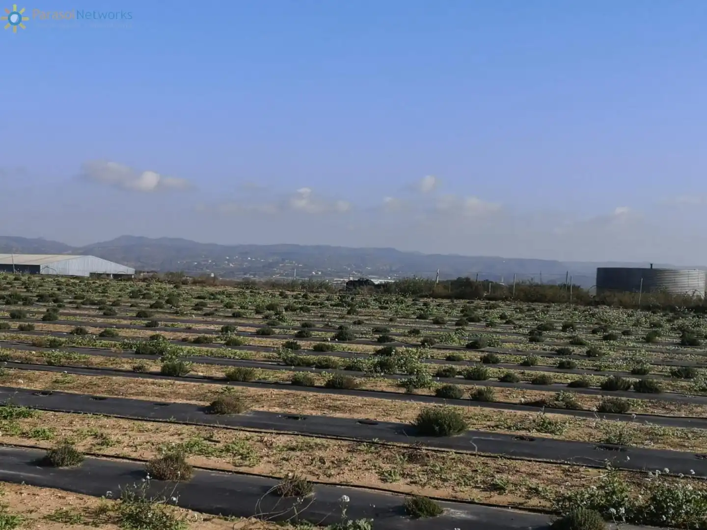 Finca rústica en venta en Benigànim con Jardín privado, Terraza y Trastero