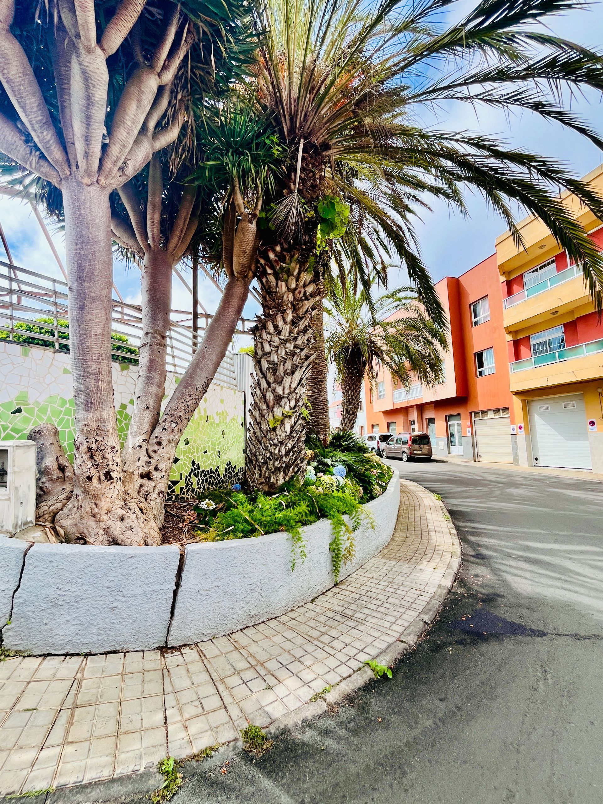 Exterior view of Premises for sale in Moya (Las Palmas)